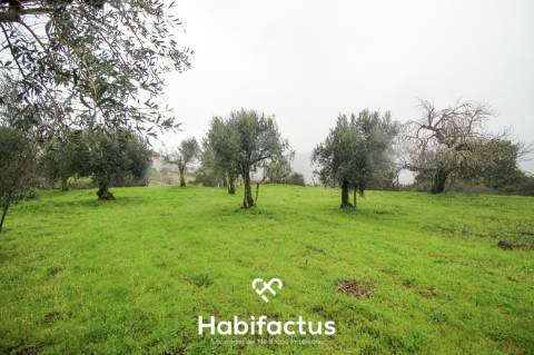 Moradia de pedra para venda T1+2 em Pedras Ruivas – Seixo da Beira - Oliveira do Hospital