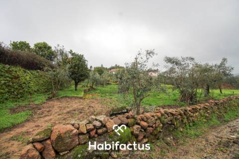 Moradia de pedra para venda T1+2 em Pedras Ruivas – Seixo da Beira - Oliveira do Hospital