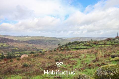 Moradia de pedra para venda T1+2 em Pedras Ruivas – Seixo da Beira - Oliveira do Hospital