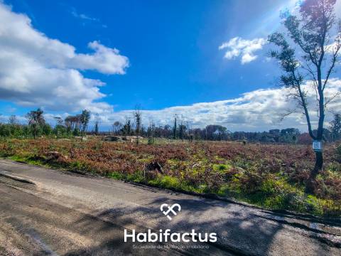 Terreno Rústico com 16.800 m², Vinhas, Árvores de Fruto e 3 Poços de Água