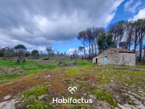 Terreno Rústico com 16.800 m², Vinhas, Árvores de Fruto e 3 Poços de Água