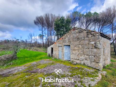 Terreno Rústico com 16.800 m², Vinhas, Árvores de Fruto e 3 Poços de Água