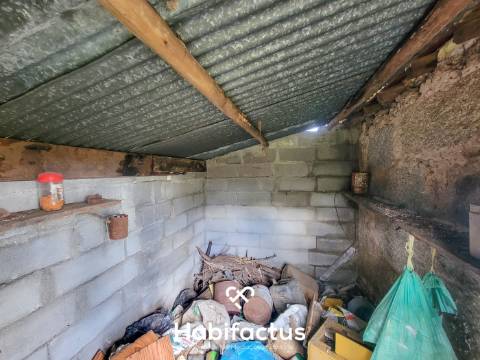 Terreno Rústico com 16.800 m², Vinhas, Árvores de Fruto e 3 Poços de Água