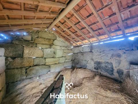 Terreno Rústico com 16.800 m², Vinhas, Árvores de Fruto e 3 Poços de Água