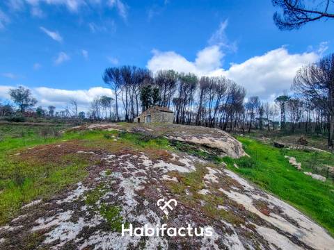 Terreno Rústico com 16.800 m², Vinhas, Árvores de Fruto e 3 Poços de Água