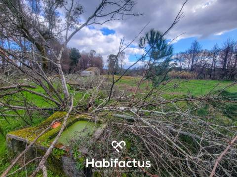 Terreno Rústico com 16.800 m², Vinhas, Árvores de Fruto e 3 Poços de Água