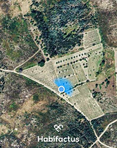 Quinta à venda com Produção de Uva e Azeite na Freguesia de Travancinha - Seia - Guarda