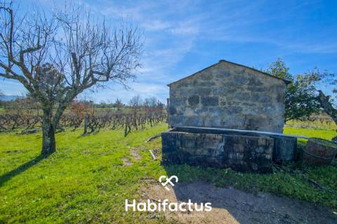 Quinta à venda com Produção de Uva e Azeite na Freguesia de Travancinha - Seia - Guarda