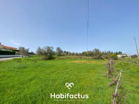 Quinta para Venda na Freguesia de Senhorim – Nelas - Viseu