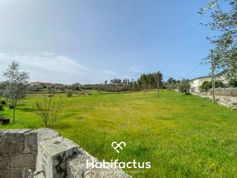 Quinta para Venda na Freguesia de Senhorim – Nelas - Viseu