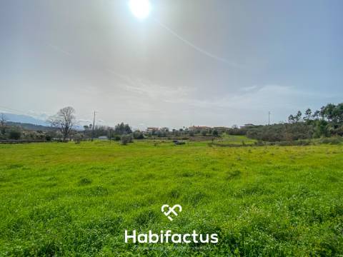 Quinta para Venda na Freguesia de Senhorim – Nelas - Viseu