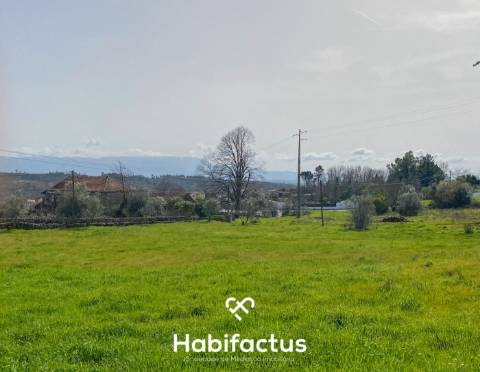 Quinta para Venda na Freguesia de Senhorim – Nelas - Viseu