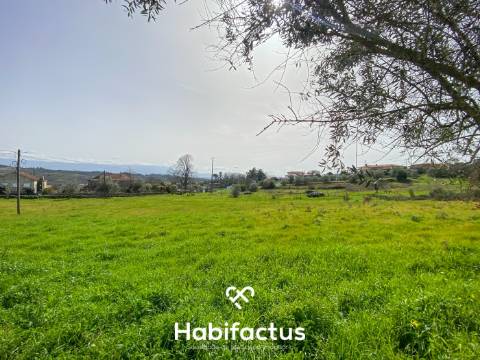 Quinta para Venda na Freguesia de Senhorim – Nelas - Viseu