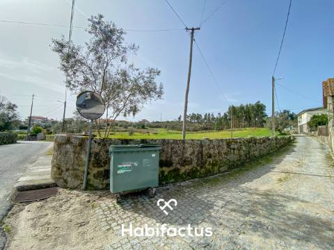 Quinta para Venda na Freguesia de Senhorim – Nelas - Viseu