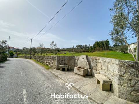 Quinta para Venda na Freguesia de Senhorim – Nelas - Viseu