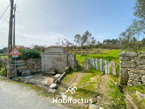 Quinta para Venda na Freguesia de Senhorim – Nelas - Viseu