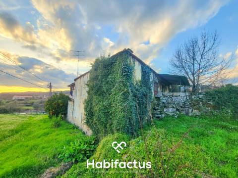 Moradia Nobre T3 Isolada, Abrasonada para Reconstrução Total, á venda em Beijós - Carregal do Sal