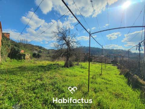 Moradia Nobre T3 Isolada, Abrasonada para Reconstrução Total, á venda em Beijós - Carregal do Sal