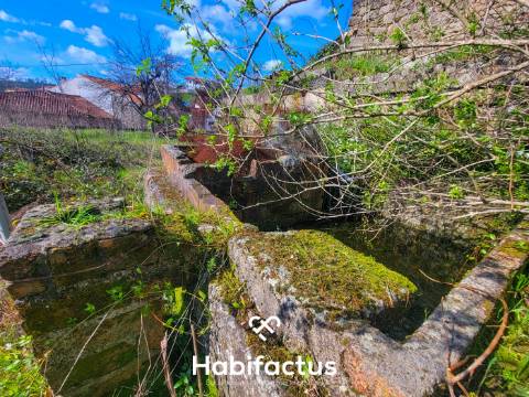 Moradia Nobre T3 Isolada, Abrasonada para Reconstrução Total, á venda em Beijós - Carregal do Sal