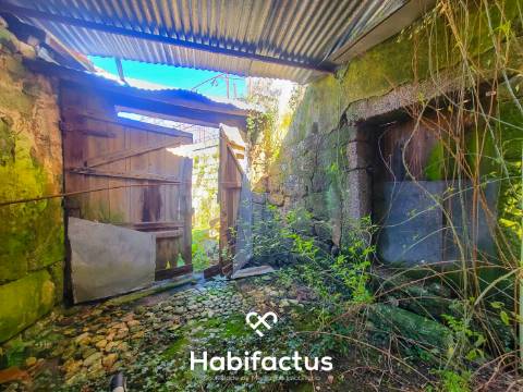 Moradia Nobre T3 Isolada, Abrasonada para Reconstrução Total, á venda em Beijós - Carregal do Sal