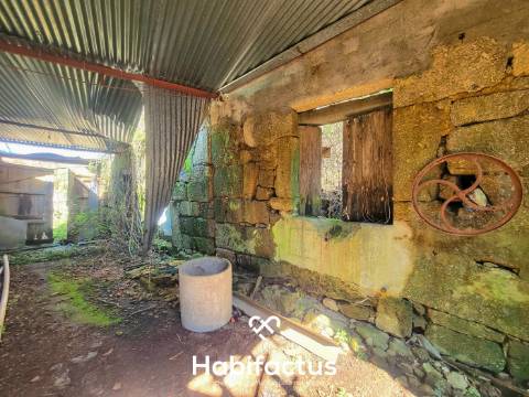 Moradia Nobre T3 Isolada, Abrasonada para Reconstrução Total, á venda em Beijós - Carregal do Sal