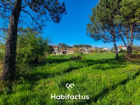 Moradia Isolada T3, para reconstrução com terraço e terreno de 1.828 m2, á Venda em Mangualde -Viseu