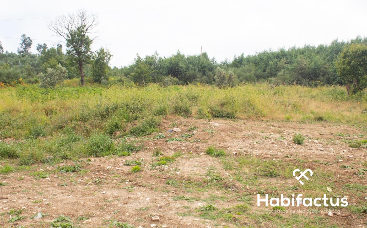 Terreno Para Construção  Venda em Oliveira do Hospital e São Paio de Gramaços,Oliveira do Hospital