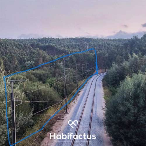 Terreno Rústico em Mortágua