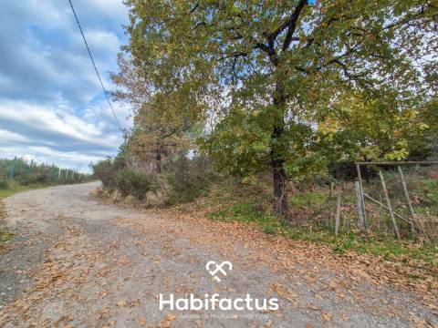 Terreno Rústico à beira Rio