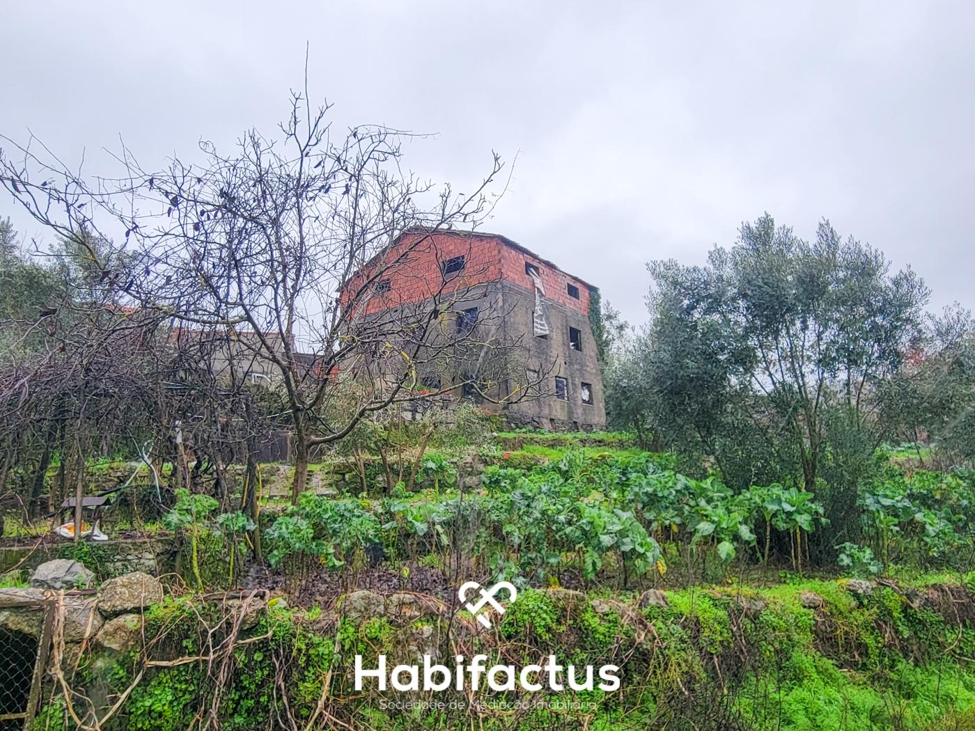Terreno Rústico para venda com Edificação – Oportunidade Única em Beijós, Carregal do Sal