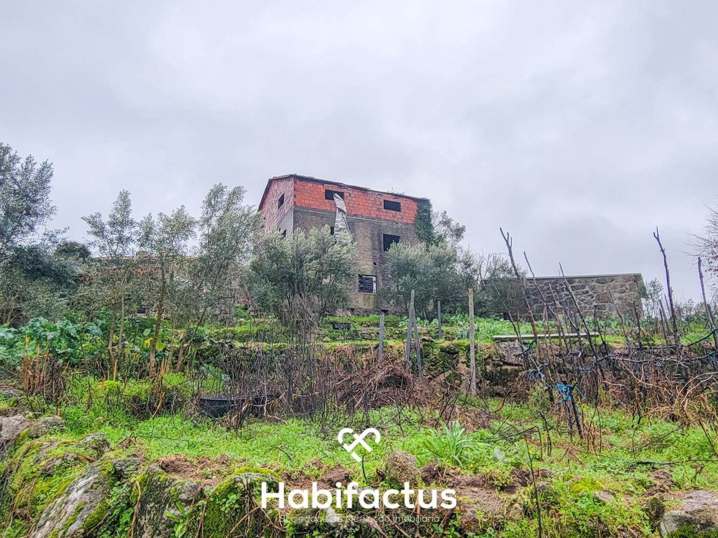 Terreno Rústico para venda com Edificação – Oportunidade Única em Beijós, Carregal do Sal