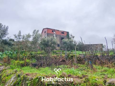 Terreno Rústico para venda com Edificação – Oportunidade Única em Beijós, Carregal do Sal