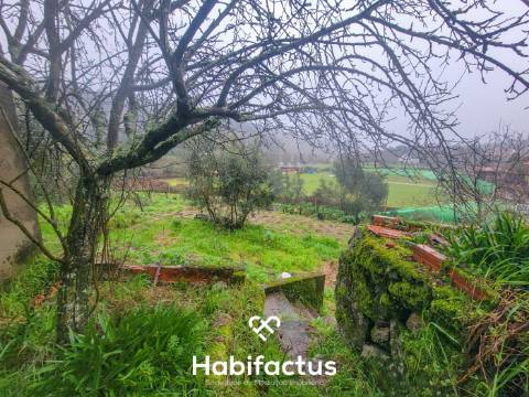 Terreno Rústico para venda com Edificação – Oportunidade Única em Beijós, Carregal do Sal