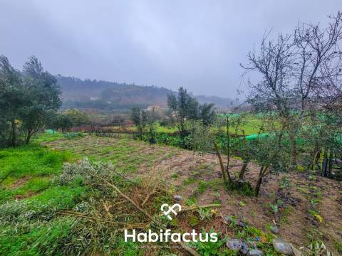 Terreno Rústico para venda com Edificação – Oportunidade Única em Beijós, Carregal do Sal