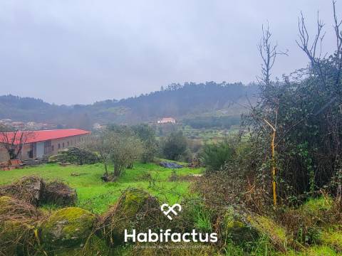 Terreno Rústico para venda com Edificação – Oportunidade Única em Beijós, Carregal do Sal