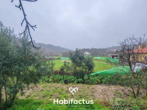 Terreno Rústico para venda com Edificação – Oportunidade Única em Beijós, Carregal do Sal