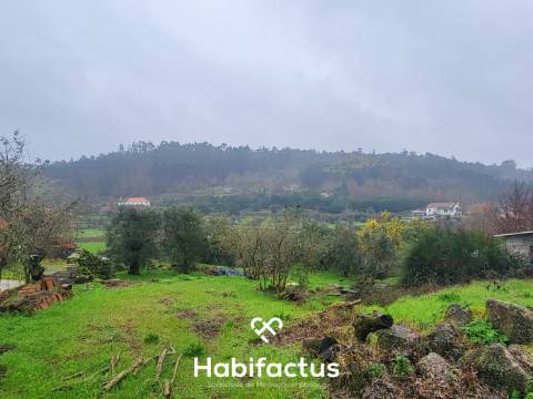 Terreno Rústico para venda com Edificação – Oportunidade Única em Beijós, Carregal do Sal