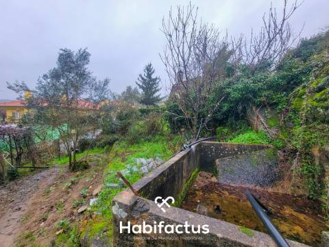 Terreno Rústico para venda com Edificação – Oportunidade Única em Beijós, Carregal do Sal