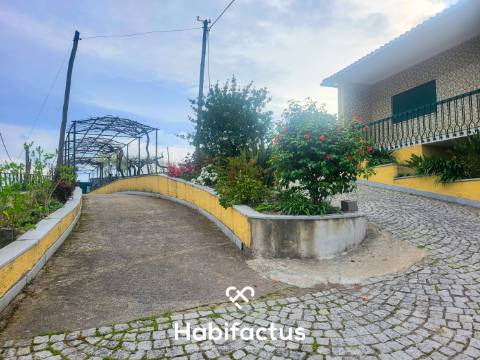 Moradia Isolada T3+2 inserida num Terreno Produtivo de 5.579 m2, á venda em Mangualde - Viseu