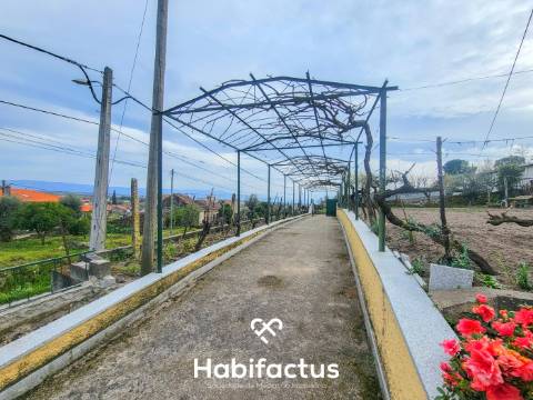 Moradia Isolada T3+2 inserida num Terreno Produtivo de 5.579 m2, á venda em Mangualde - Viseu
