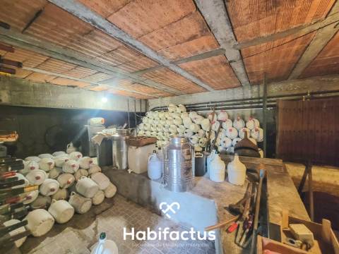Moradia Isolada T3+2 inserida num Terreno Produtivo de 5.579 m2, á venda em Mangualde - Viseu