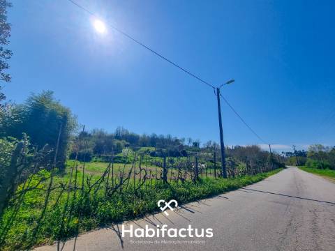 Quinta com 36 hectares para venda em Viseu.