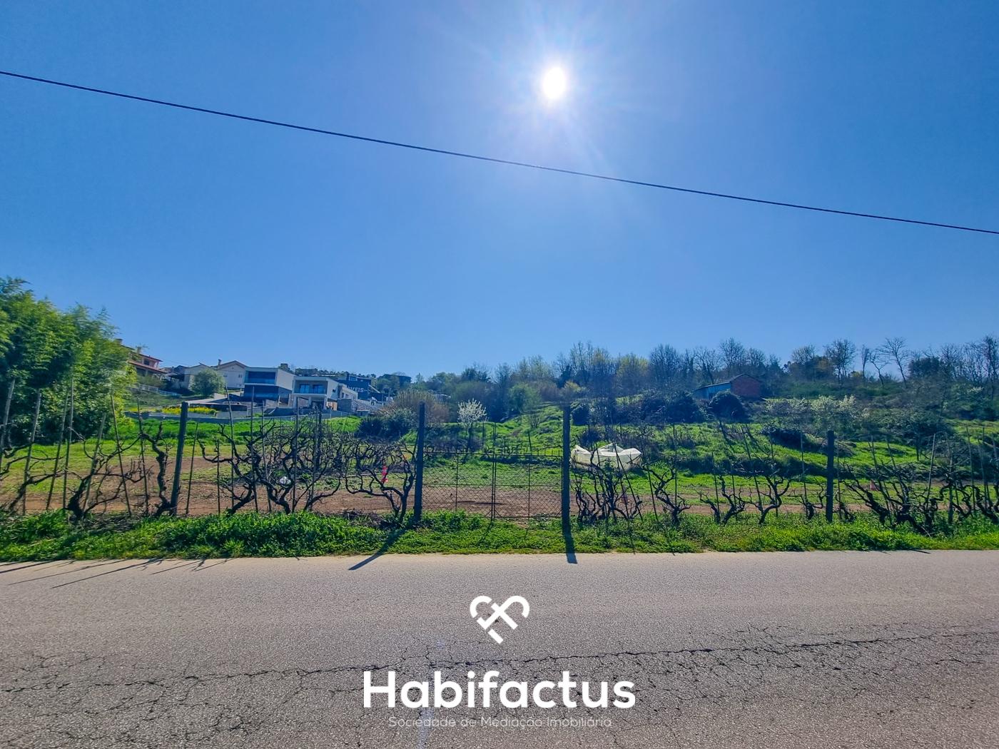 Quinta com 36 hectares para venda em Viseu.