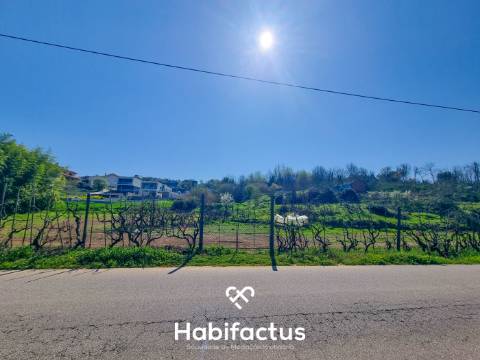 Quinta com 36 hectares para venda em Viseu.