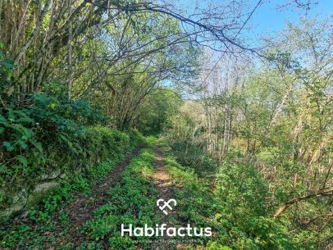 Quinta com 36 hectares para venda em Viseu.