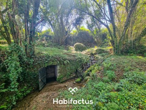 Quinta com 36 hectares para venda em Viseu.