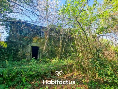 Quinta com 36 hectares para venda em Viseu.