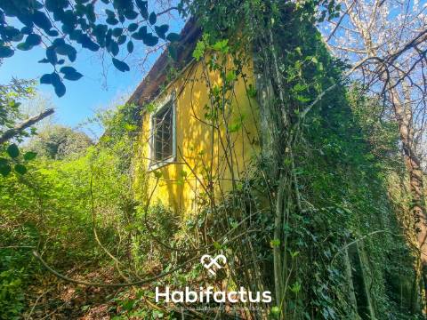 Quinta com 36 hectares para venda em Viseu.
