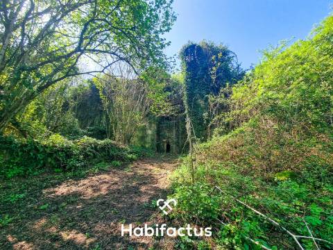 Quinta com 36 hectares para venda em Viseu.