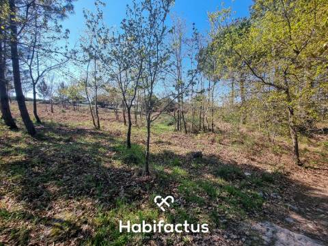 Quinta com 36 hectares para venda em Viseu.